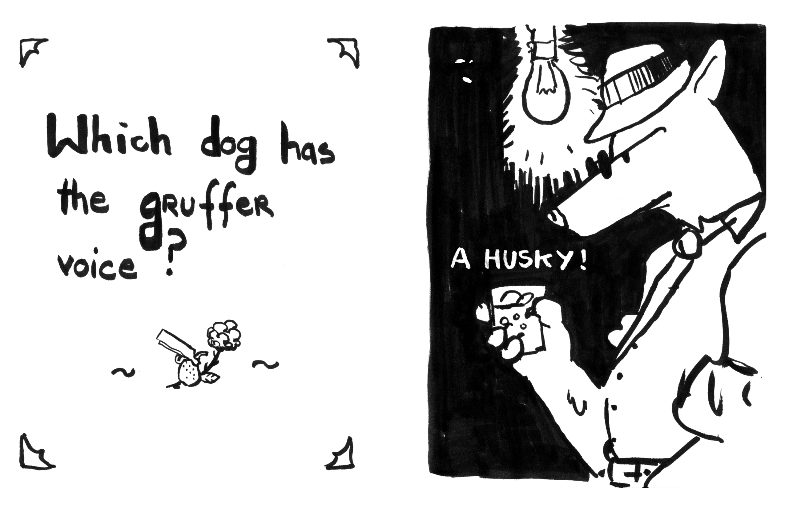 Dog Jokes (Page 10)