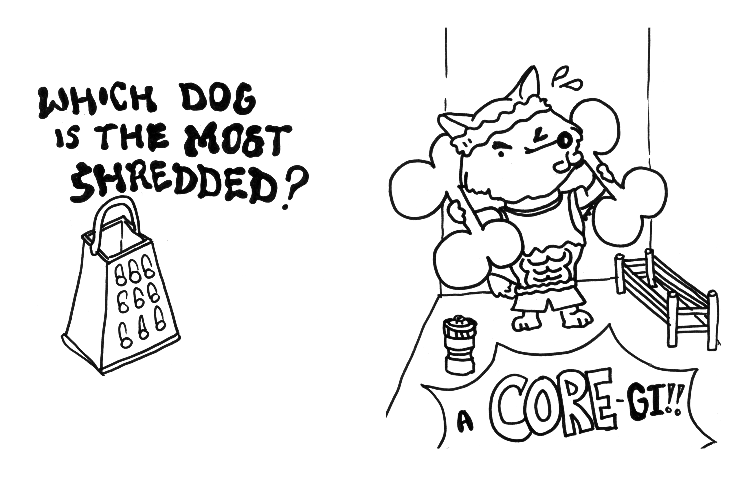 Dog Jokes (Page 15)
