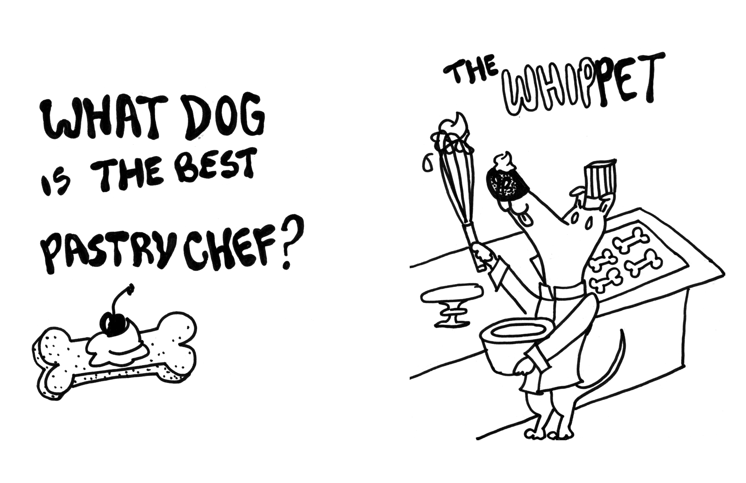 Dog Jokes (Page 17)