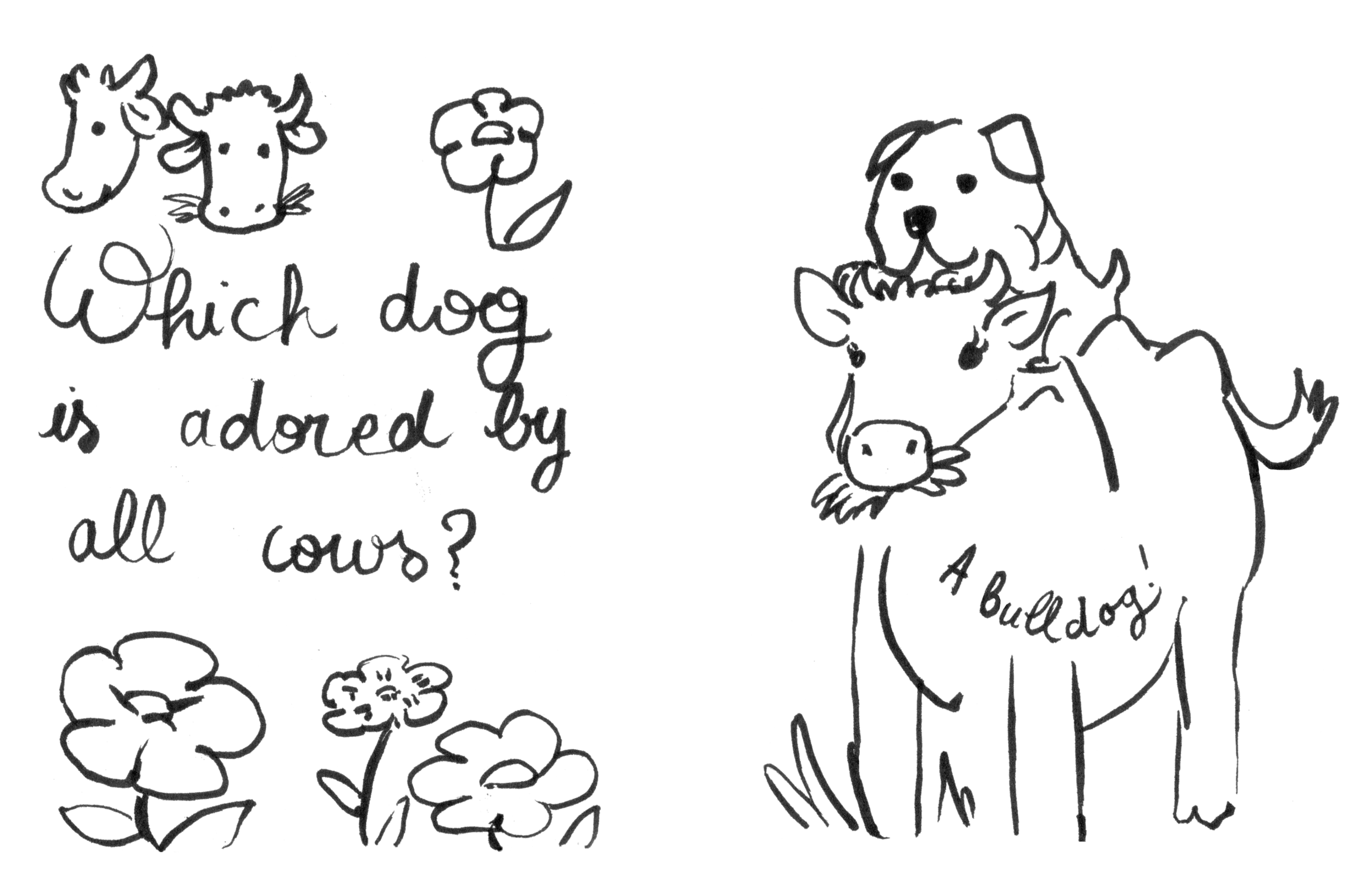 Dog Jokes (Page 19)