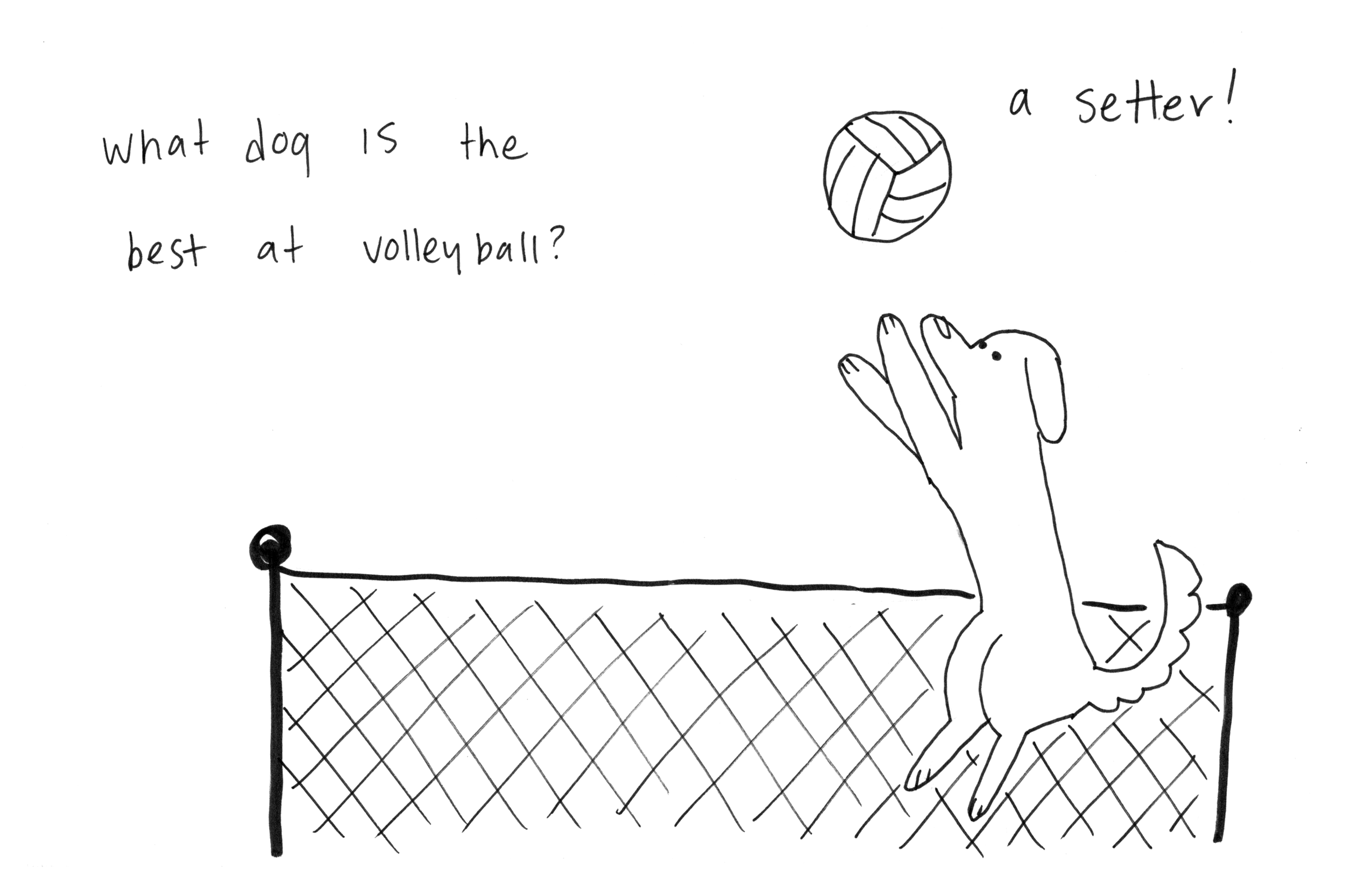 Dog Jokes (Page 21)