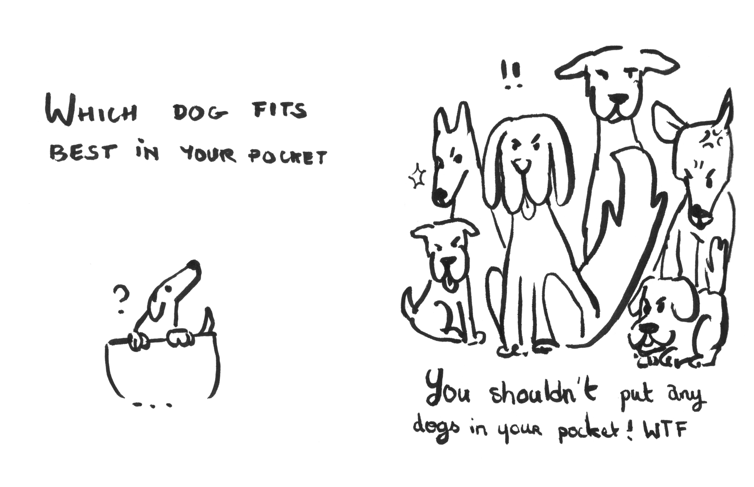 Dog Jokes (Page 22)